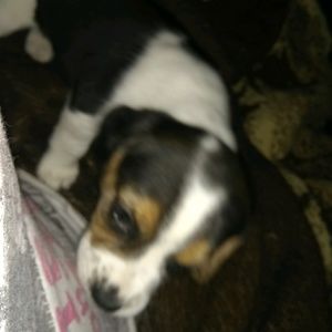 Meet your Posher, Tianee